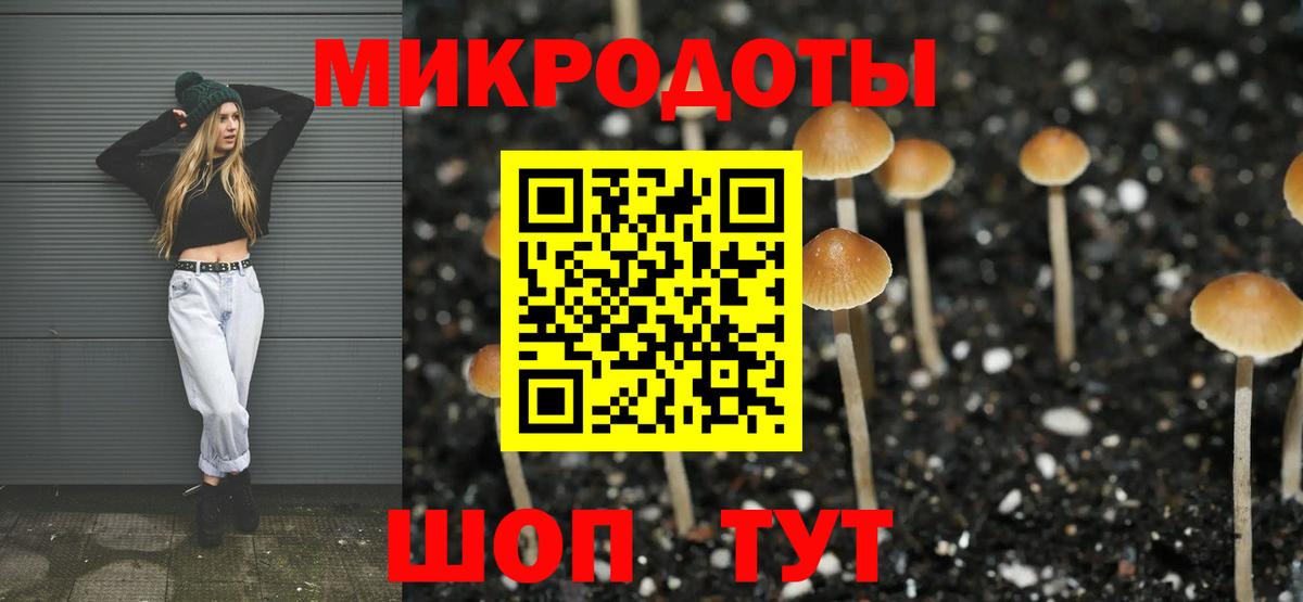 Галлюциногенные грибы Cubensis Донецк