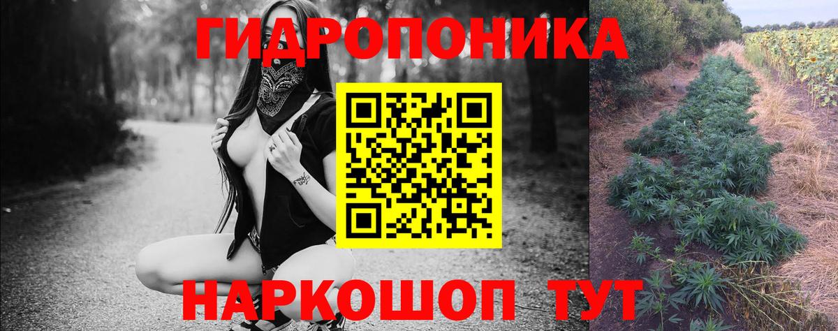 Марихуана THC 21%  Конопля OG Kush  Вход с VPN  Донецк  Бошки Шишки SATIVA & INDICA  Канабис семена 